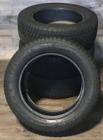 4x 205/60 R16 96H Goodyear Ultra Grip Winterreifen RSC RFT Stern Bayern - Riedenburg Vorschau