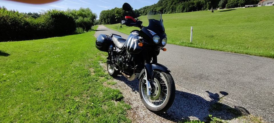 Triumph Tiger 955i in Hausham