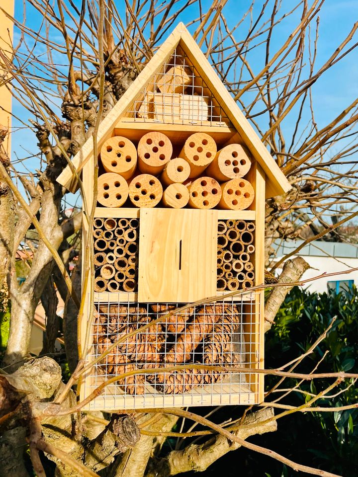 DARLUX Holz Insektenhotel M Wildbienen-Nisthilfe Insektenhaus in Dresden