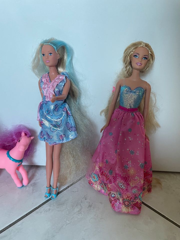 Barbie Puppen mit Pferden, Kinderwagen und sehr viel Zubehör!! in Marburg