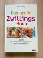 Das große Zwillingsbuch Beltz Verlag Niedersachsen - Hildesheim Vorschau
