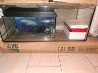 Schnäppchen! Aquarium Dehner Neu 160 l + Unterschrank Juwel Neu Bayern - Bodenwöhr Vorschau