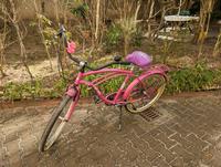 Fahrrad Damen Beachcruiser Berlin - Tempelhof Vorschau