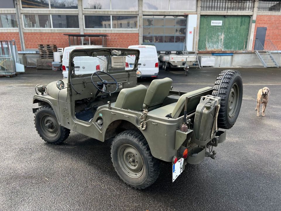 Jeep Willys CJ5 M38A1 Militärjeep m. Verdeck 120km/h in Krefeld