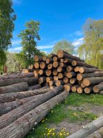 Eiche als Schnittholz Niedersachsen - Osterode am Harz Vorschau