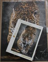 Puzzle, 1000 Teile vollständig, Walk of the Jaguar, Clementoni Niedersachsen - Braunschweig Vorschau