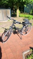 Fahrrad 28 Zoll Obervieland - Arsten Vorschau