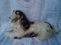 Porzellan Hund Cocker Spaniel 38cmx 27cm sitzend leicht beshädigt Bayern - Schwandorf Vorschau