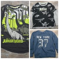 Gr. 98/104 Shirts Pullover Dino Jurassic World New York Sachsen - Olbernhau Vorschau