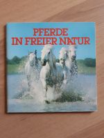 Pferde in freier Natur - duplo hanuta Sammelalbum 1980er Jahre Nordrhein-Westfalen - Bergisch Gladbach Vorschau