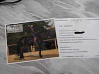 Carubina Equestrian Gutschein 20€ für 10€ Baden-Württemberg - Aalen Vorschau