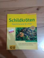 Schildkröten Nordrhein-Westfalen - Finnentrop Vorschau