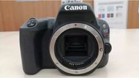 Canon Modell Nummer: EOskissX9 Doppel Zoom Set Kamera Niedersachsen - Rhade Vorschau