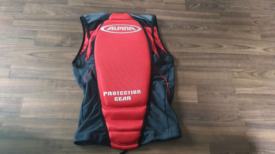 Alpina Protection Gear Rückenprotektor in Westerstetten