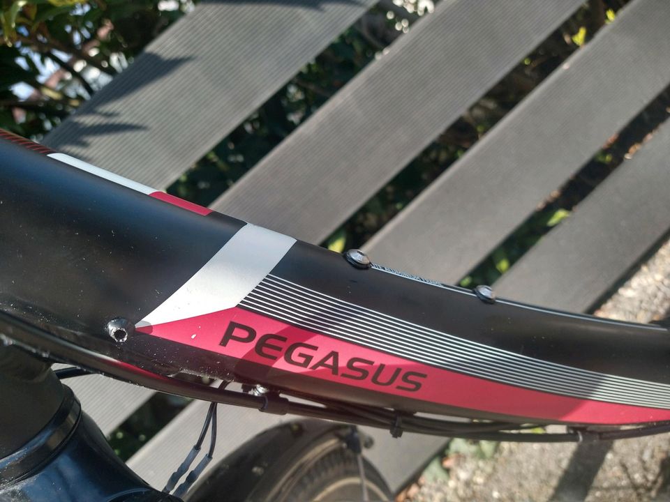 Pegasus Avanti 24 Zoll, schwarz, Mädchenfahrrad in Kernen im Remstal