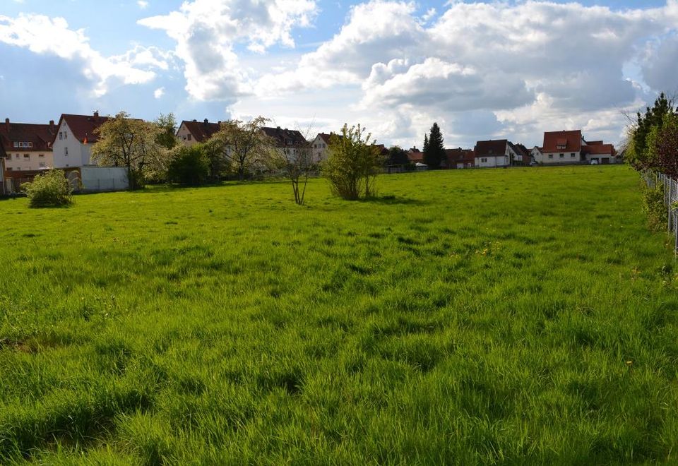 Naturnah und Zentral gelegen. Schönes Baugrundstück in Duingen! in Duingen