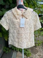 Zara  Spitzenoberteil Creme Größe L Neu Nordrhein-Westfalen - Herne Vorschau