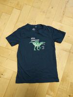 Dino T-Shirts 122 Sachsen - Mühlau Vorschau