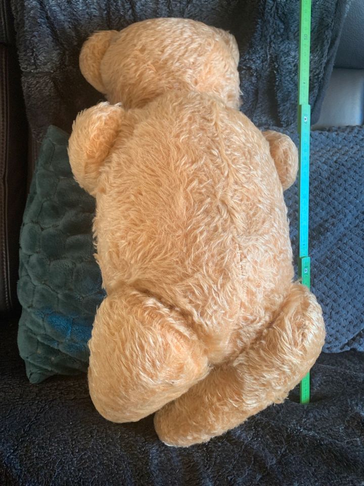 Teddy Alt aus der Sammlung meiner Oma in Bad Salzdetfurth