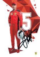 SEBASTIAN VETTEL Autogramm, sign Autogrammkarte, Formel1 /4. Innenstadt - Köln Altstadt Vorschau