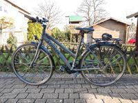 Fahrrad Stinger kaum benutzt seltenes Modell Schleswig-Holstein - Norderstedt Vorschau