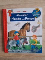 Wieso Weshalb Warum Alles über Pferde und Ponys Dresden - Blasewitz Vorschau