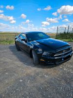 Ford ( USA) Mustang Sachsen-Anhalt - Aschersleben Vorschau