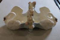 Dachbodenfund außergewöhnliche Keramik Porzellan Schale Schwäne Nordrhein-Westfalen - Ahaus Vorschau