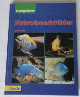 Aquarium Buch Fische Malawiseecichliden Sachsen - Bobritzsch-Hilbersdorf Vorschau