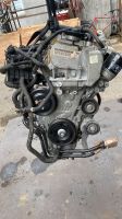 Motor,Engine,Moteur für VW Golf 6 1,4 2010 Motorcode CAX Nordrhein-Westfalen - Solingen Vorschau