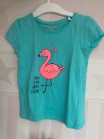 Mädchen T-shirt 98 Flamingo Herzogtum Lauenburg - Geesthacht Vorschau