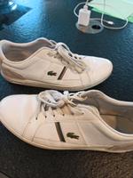 Lacoste Schuhe Größe 44 Bayern - Pfaffenhofen a. d. Roth Vorschau