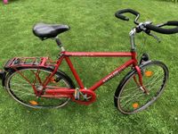 Kettler Fahrrad "Paramount" ca. 60cm Rahmenhöhe Nabenschaltung Bonn - Duisdorf Vorschau