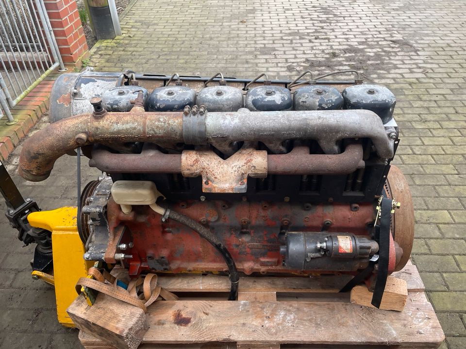 Deutz Motor, 10006, 8006 F6L912 teile in Werne