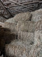 Kleine Bündel Heu Kyffhäuserland - Steinthaleben Vorschau