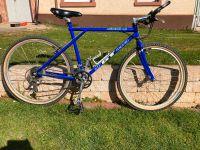 Mountain Bike GT Bravado Le 1995/96 Baden-Württemberg - Weinheim Vorschau