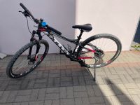 Mountainbike BULLS Zarena 29“ Weiss/punk/anthrazit Baden-Württemberg - Holzgerlingen Vorschau