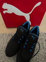 PUMA Turnschuh Herren / Gr. 44 Hessen - Rodenbach Vorschau