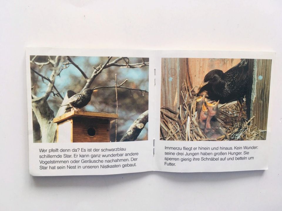 Pixi 662 - Tiere in unserem Garten - 1. Auflage 1992 in Göppingen