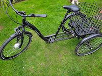 Prophete Cargo E-Bike 3 R Duisburg - Rheinhausen Vorschau