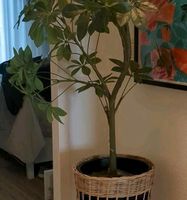 Blumenständer Rattan Ikea mit oder ohne Pflanze Sachsen-Anhalt - Halle Vorschau
