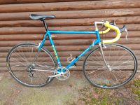 Romani Rennrad Columbus SLX und Campagnolo Super Record Dortmund - Scharnhorst Vorschau