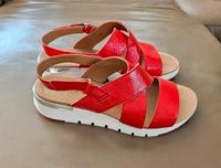 Caprice Damen Sandalen Leder Gr.39 Neu Nordrhein-Westfalen - Bünde Vorschau