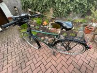 Fahrrad Diamant Herren Sachsen-Anhalt - Zeitz Vorschau