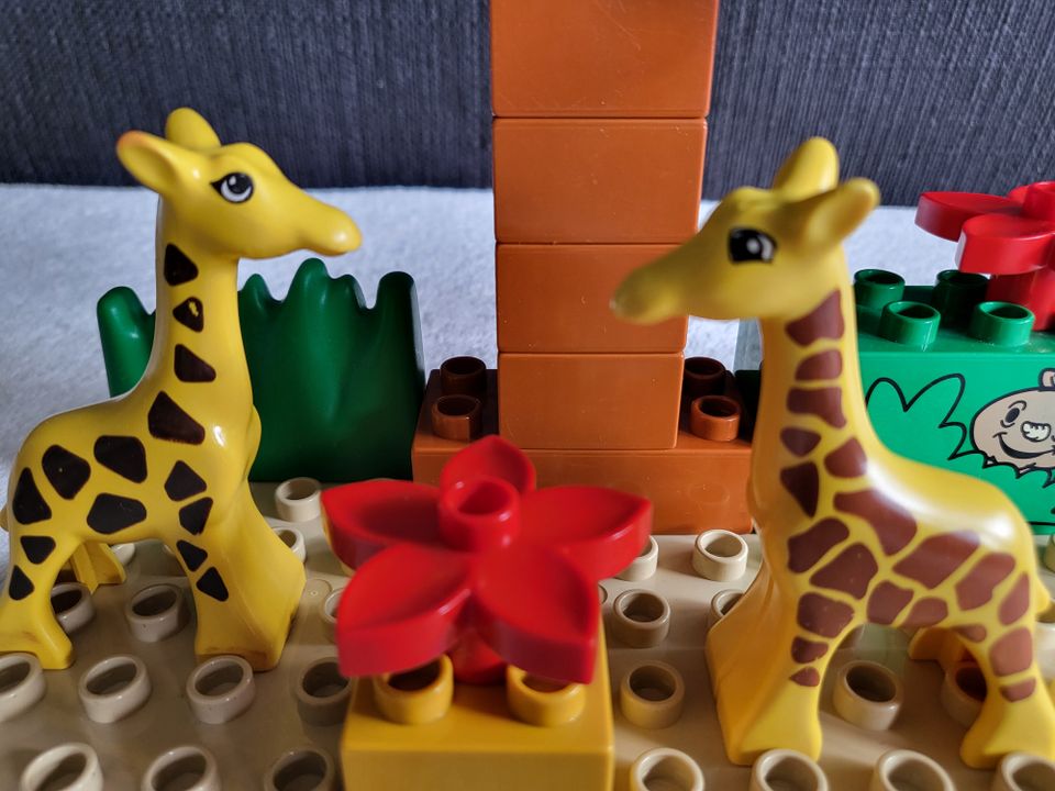 Lego Duplo Safari Tiere + Safari Fahrzeug + Safari Spielfigur in Kempten