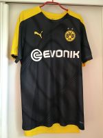 Herren BVB Trikot Größe L Hessen - Söhrewald Vorschau