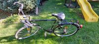 Trekkingrad Wheeler 700 schwarz 28 Zoll Hessen - Flörsheim am Main Vorschau