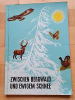 Knorr Samelbilder/-album - Zwischen Bergwald und ewigem Schnee Dresden - Blasewitz Vorschau