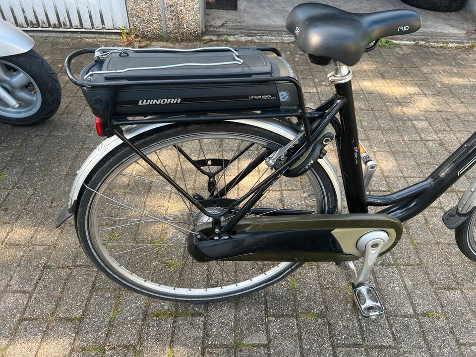 E Bike Tranzbike Green in Gelsenkirchen