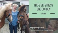 Coaching für private Lebensthemen(Life Coaching) / Pferdecoaching Hessen - Homberg (Efze) Vorschau